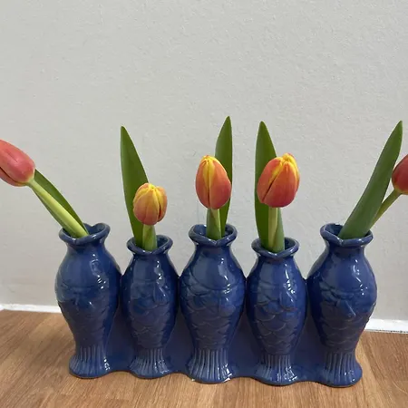 アパート Forecastle Kl