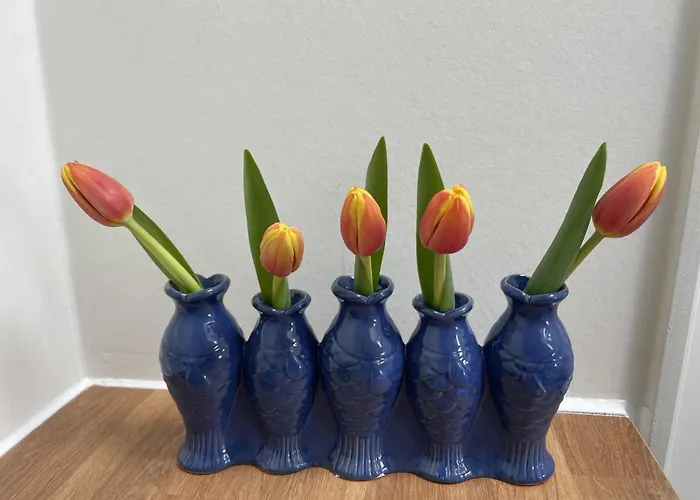 Appartement Forecastle Kl